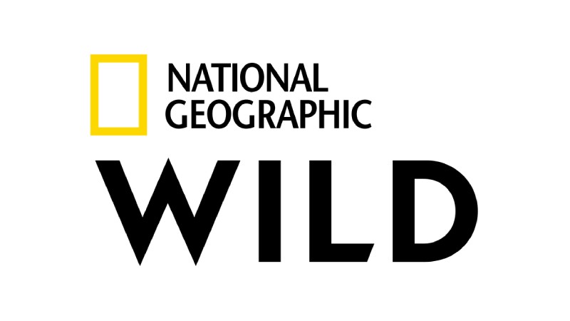 National Geographic Wild Russia TV